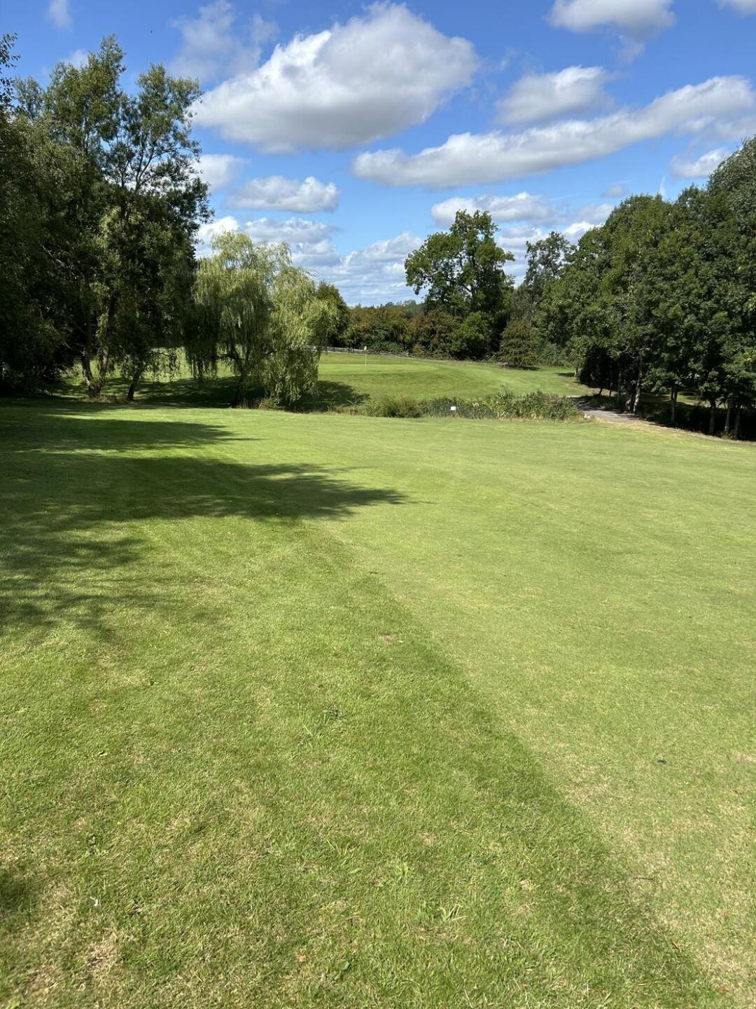 (Photo submitted by IZ9C02uPngLaMKXIu2UQ on 09/15/2025)