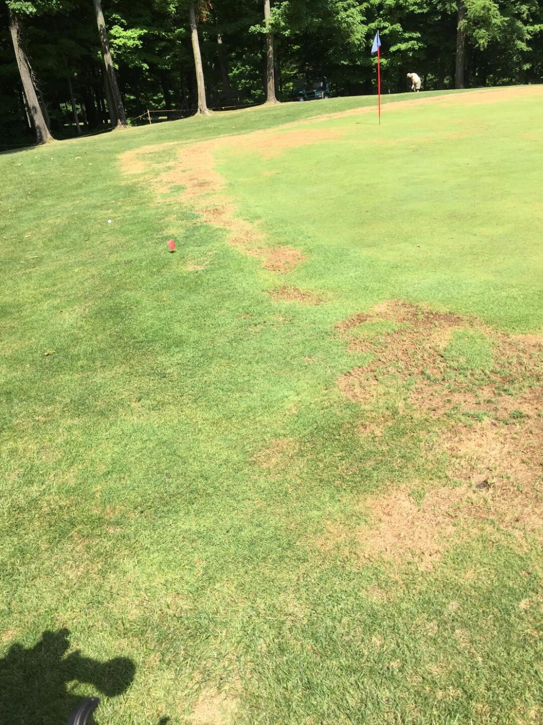 #1 green from three weeks ago (Photo submitted by Gary8030273 on 08/16/2018)
