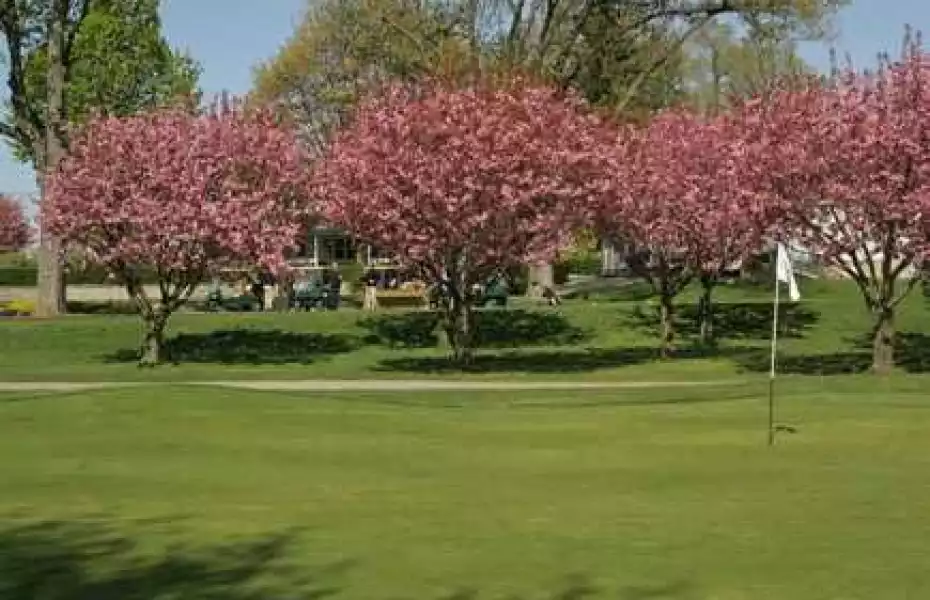 Cherry Hill Club: #9