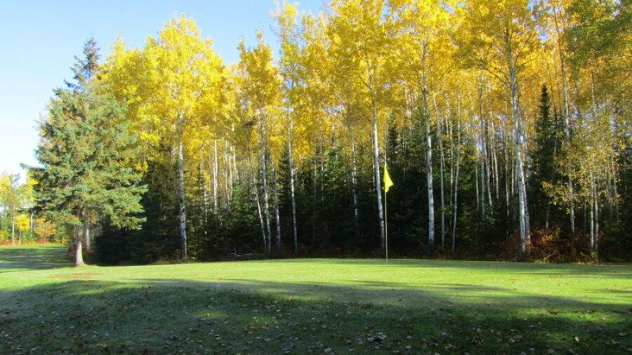 Poplar GC