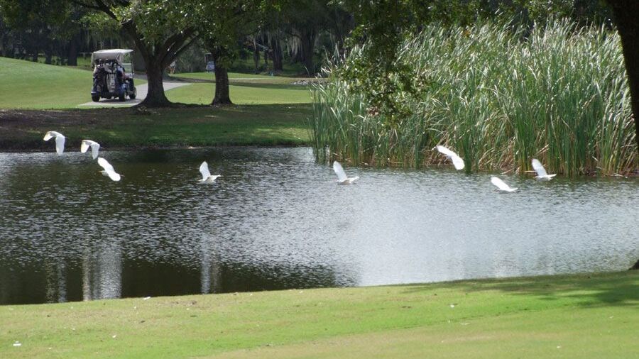 Tatum Ridge Golf Links