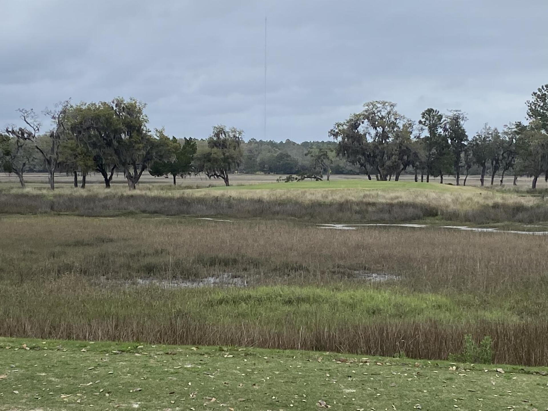 A bear of a par three into a strong head wind! (Photo submitted by Wavchsr22 on 03/24/2022)