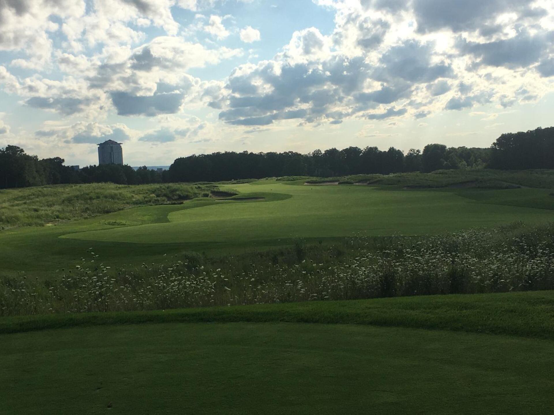 (Photo submitted by Torodeleste on 09/01/2020)