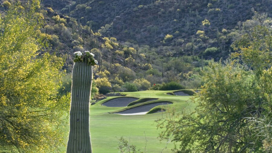 Gallery Golf Club - North: #14