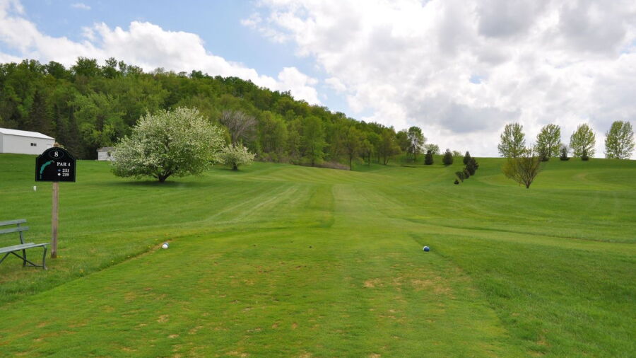 Lida Greens GC: #8