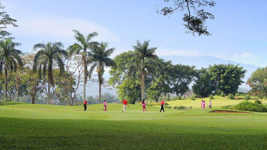 Palm Hill GC: #3