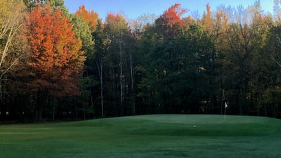 The Patriot GC