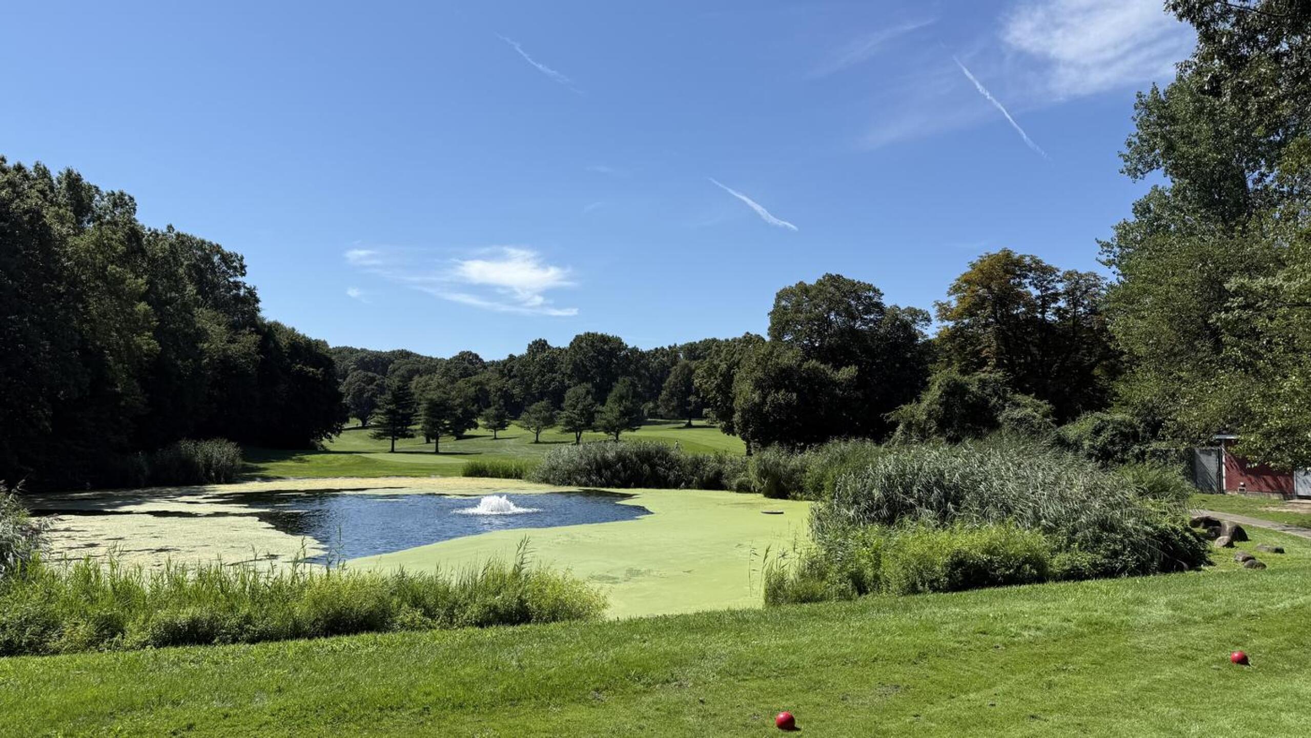 (Photo submitted by lgloumis on 08/25/2025)