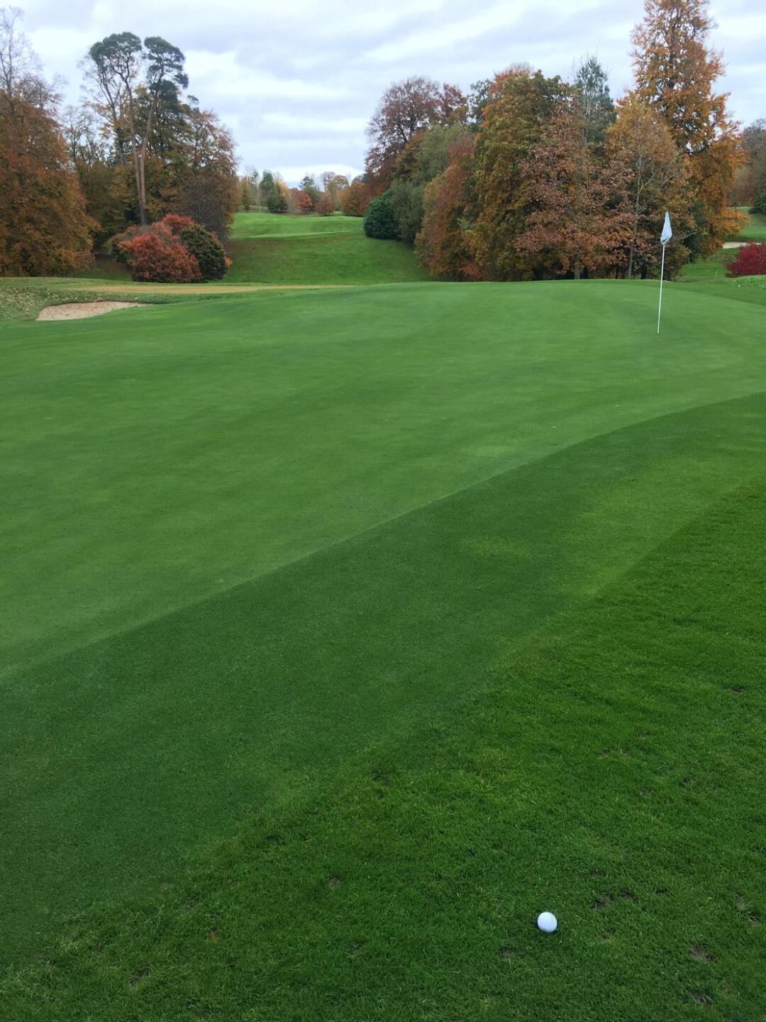 (Photo submitted by zuzujim328 on 07/25/2022)