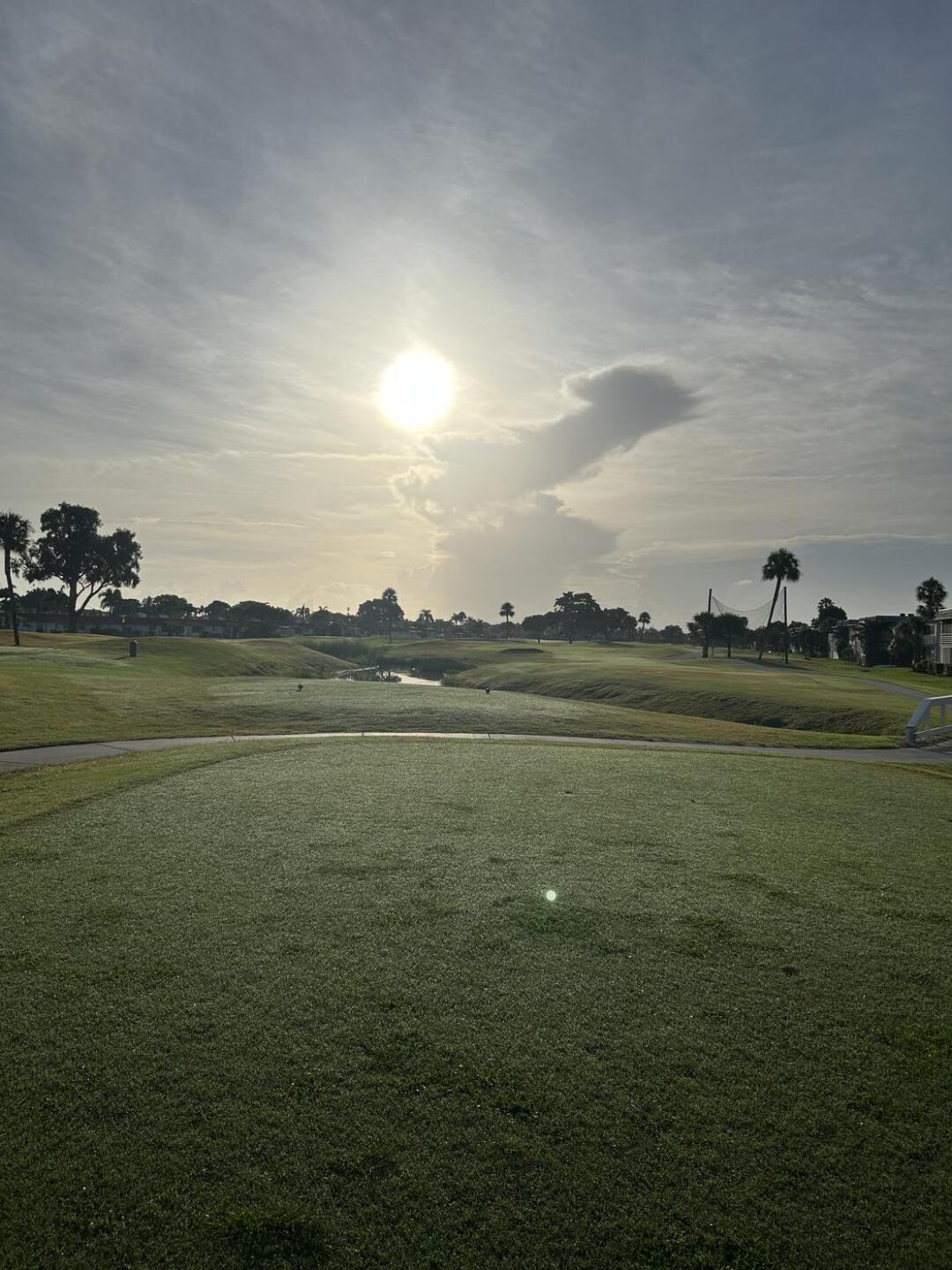 (Photo submitted by 3zqOZ12oqaCoGndVwLZo on 07/12/2025)