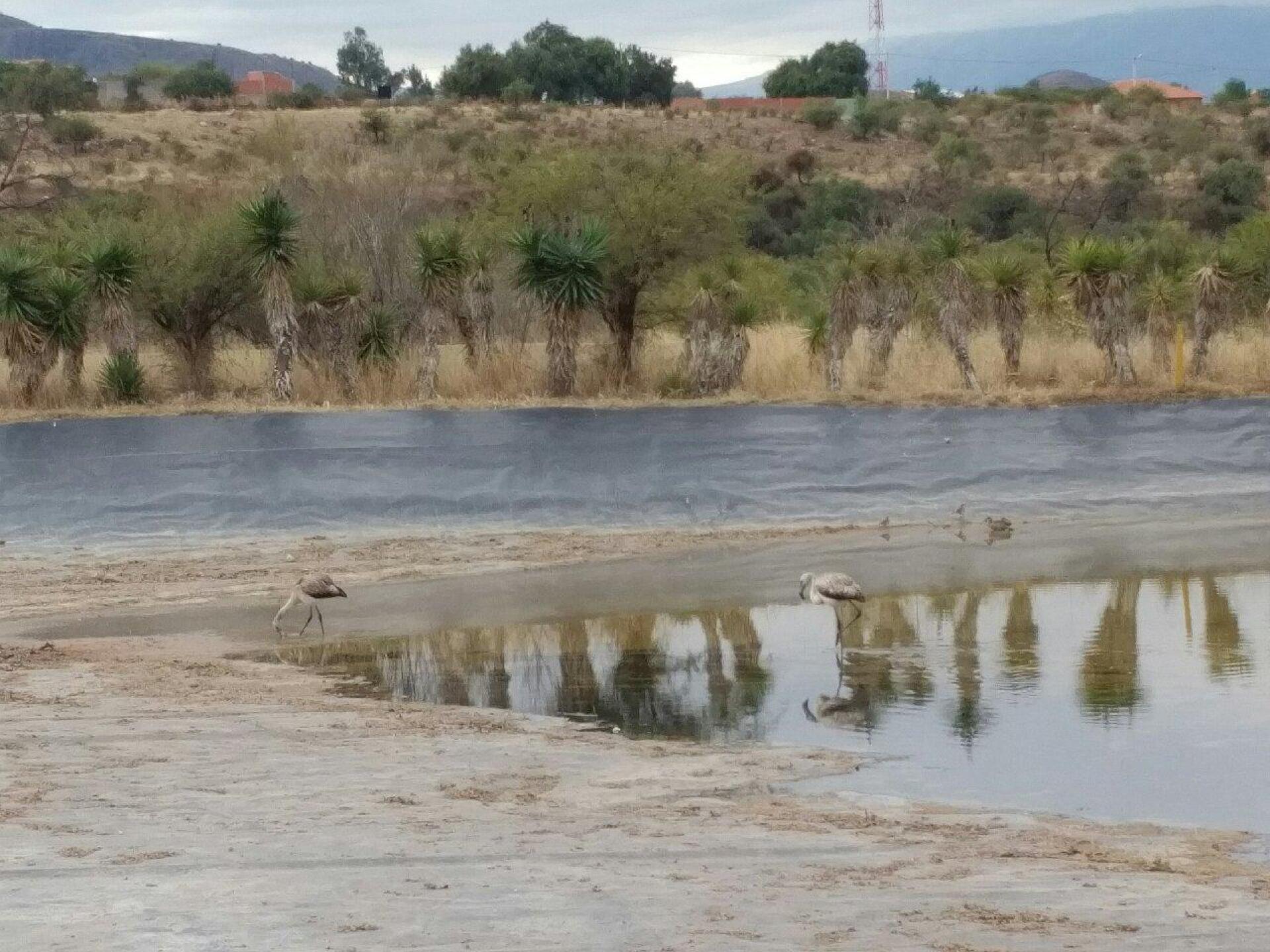 (Photo submitted by Cornelus8794434 on 05/26/2016)