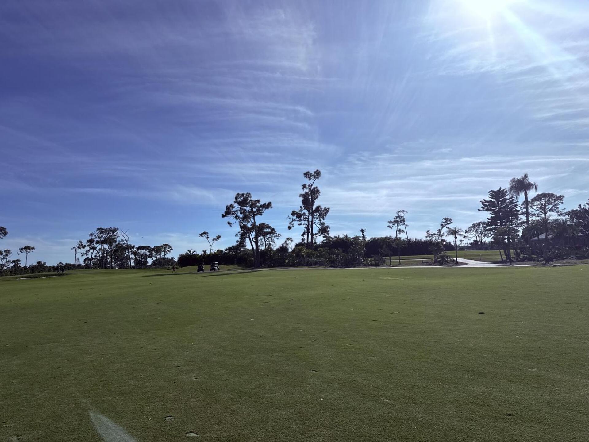 (Photo submitted by null on 01/31/2026)