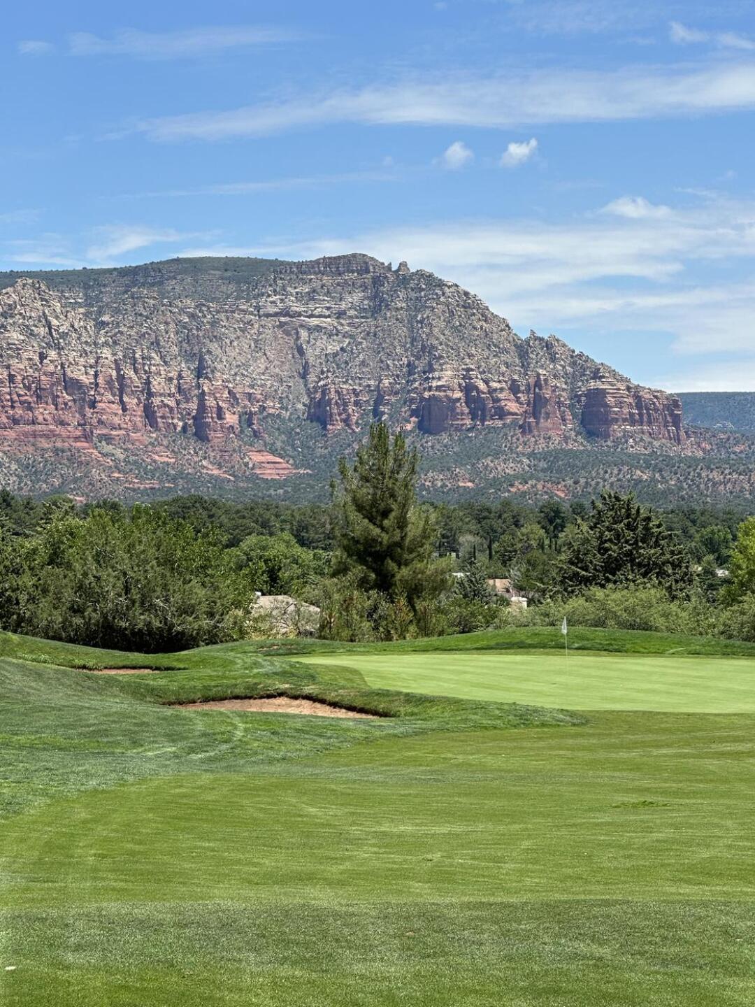 (Photo submitted by OzNO3snozWV3i6r244MM on 07/07/2024)