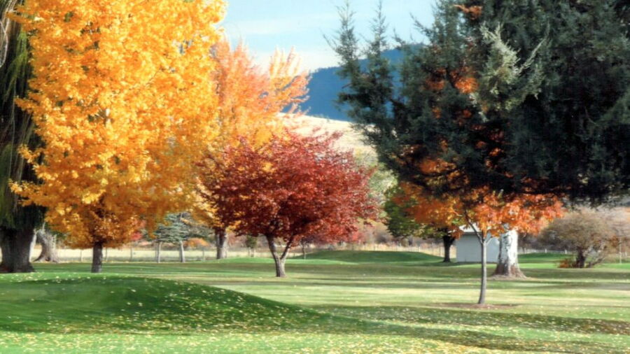 Hamilton GC