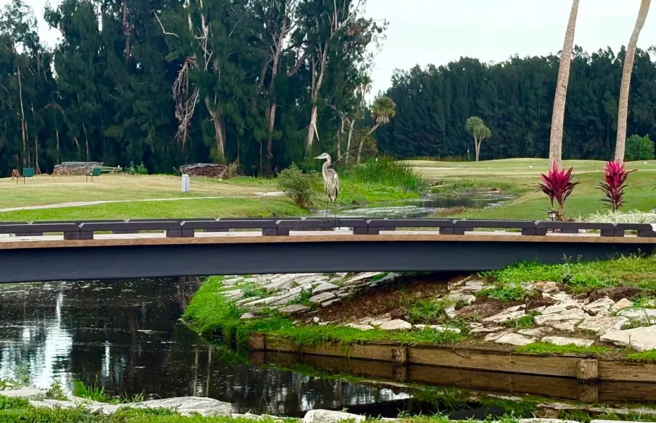 Mangrove Sands GC