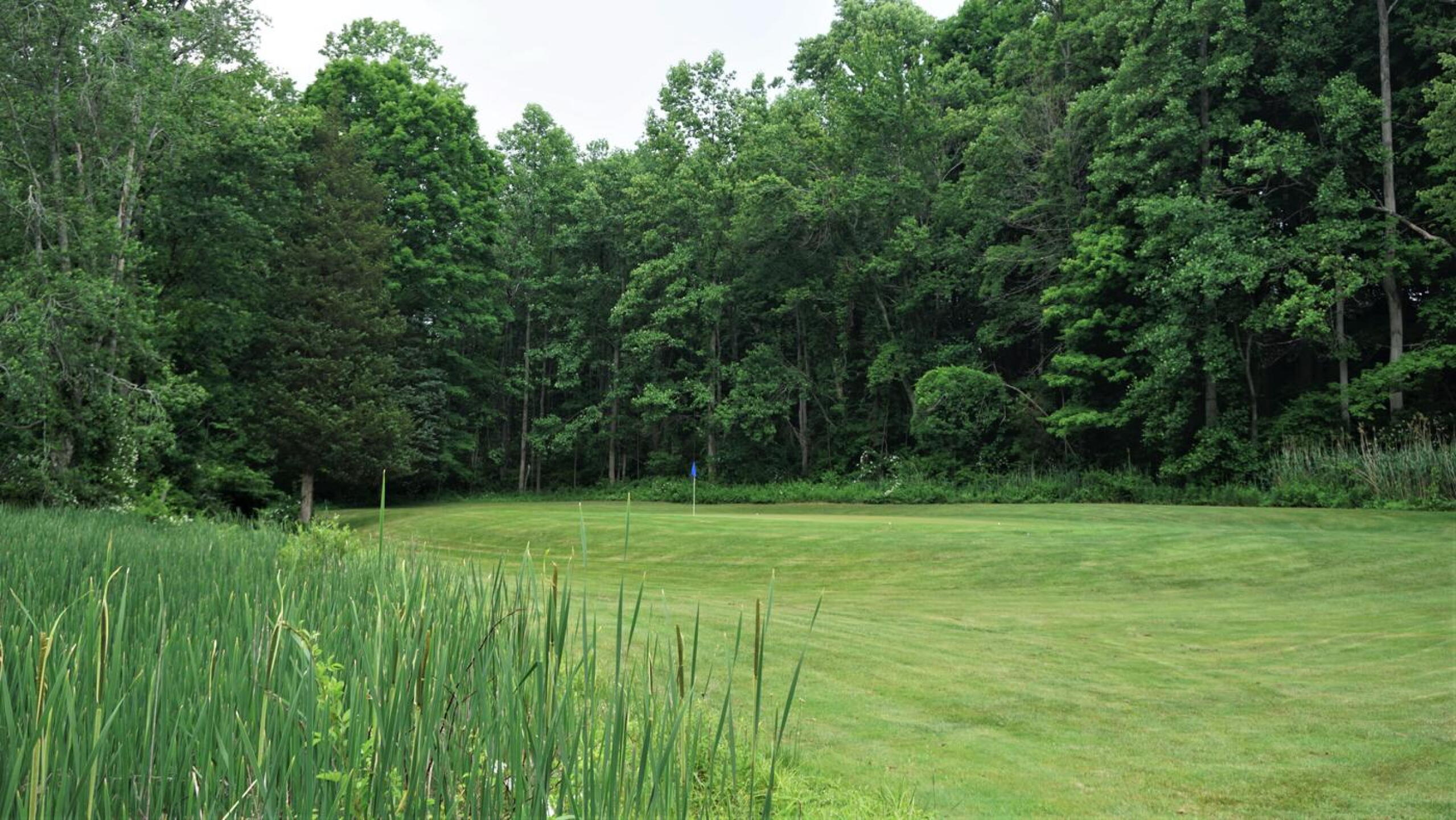 Fifteen. Closer view of the marsh and green complex. (Photo submitted by AptlyLinked on 06/09/2021)