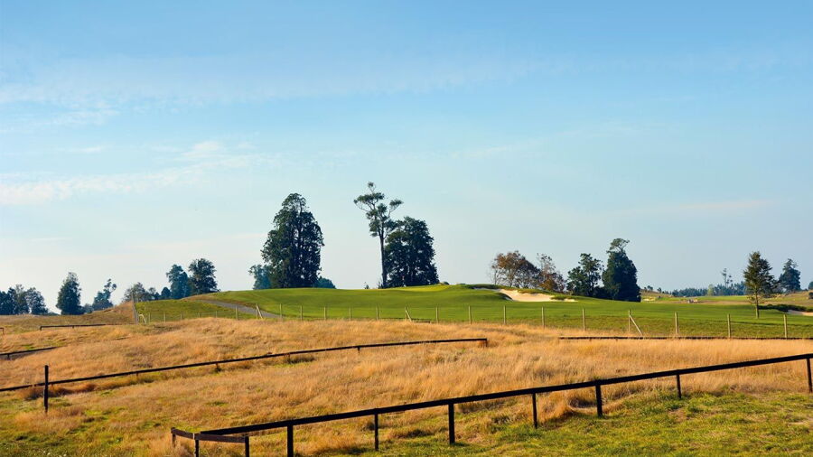 Patagonia Virgin GC