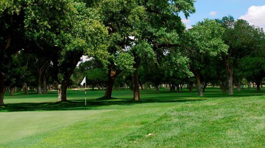 Albuquerque CC