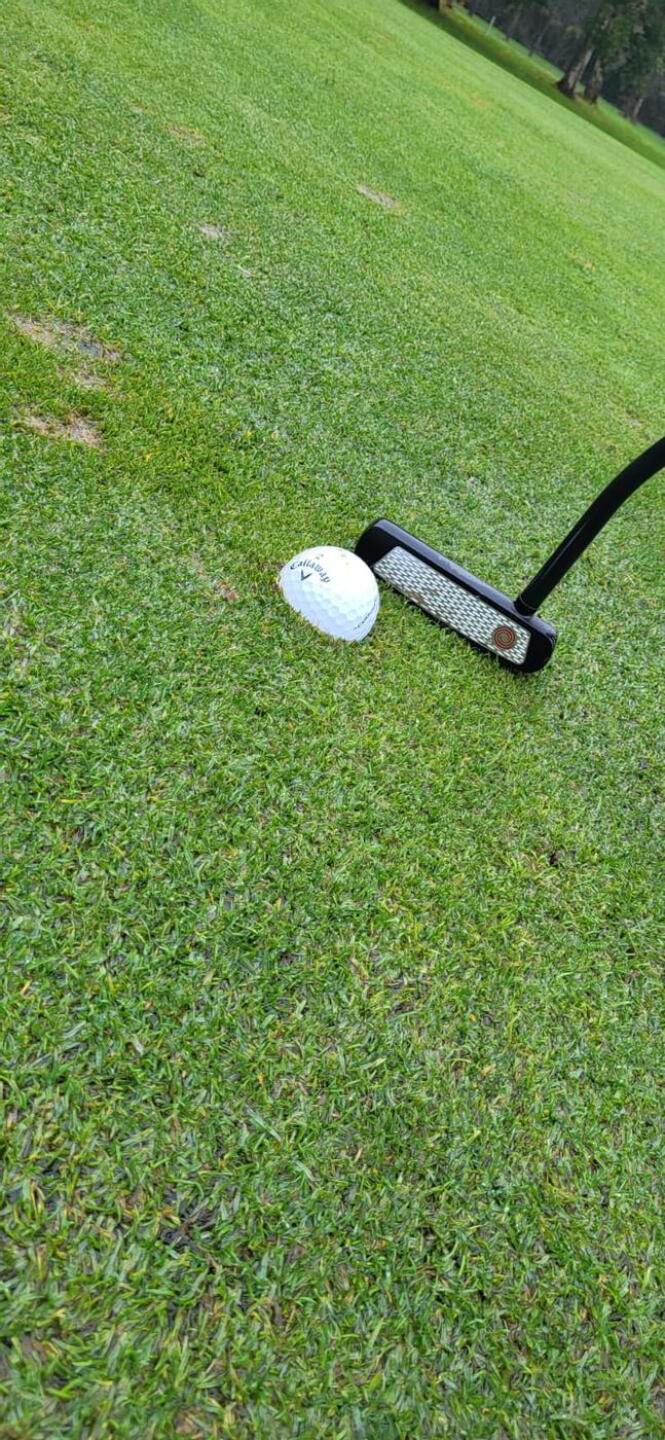 One of several plugged shots on a green (Photo submitted by AntonByr27 on 11/13/2023)