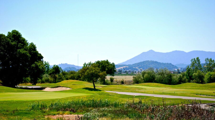 Stone Tree GC