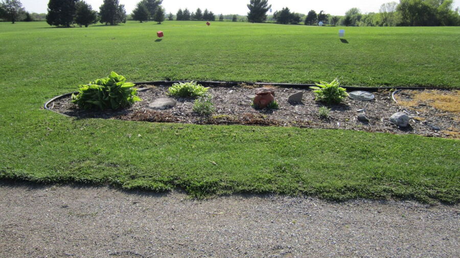Maple Heights GCC: #6