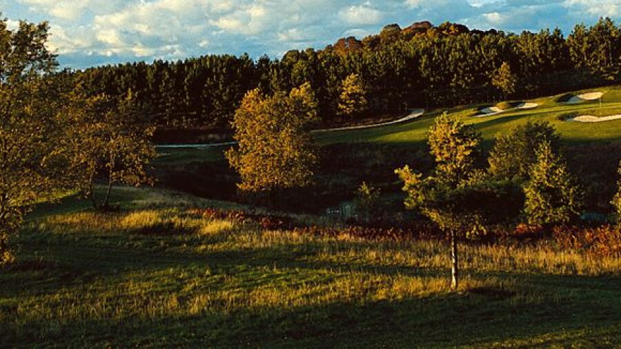 Mistwood GC