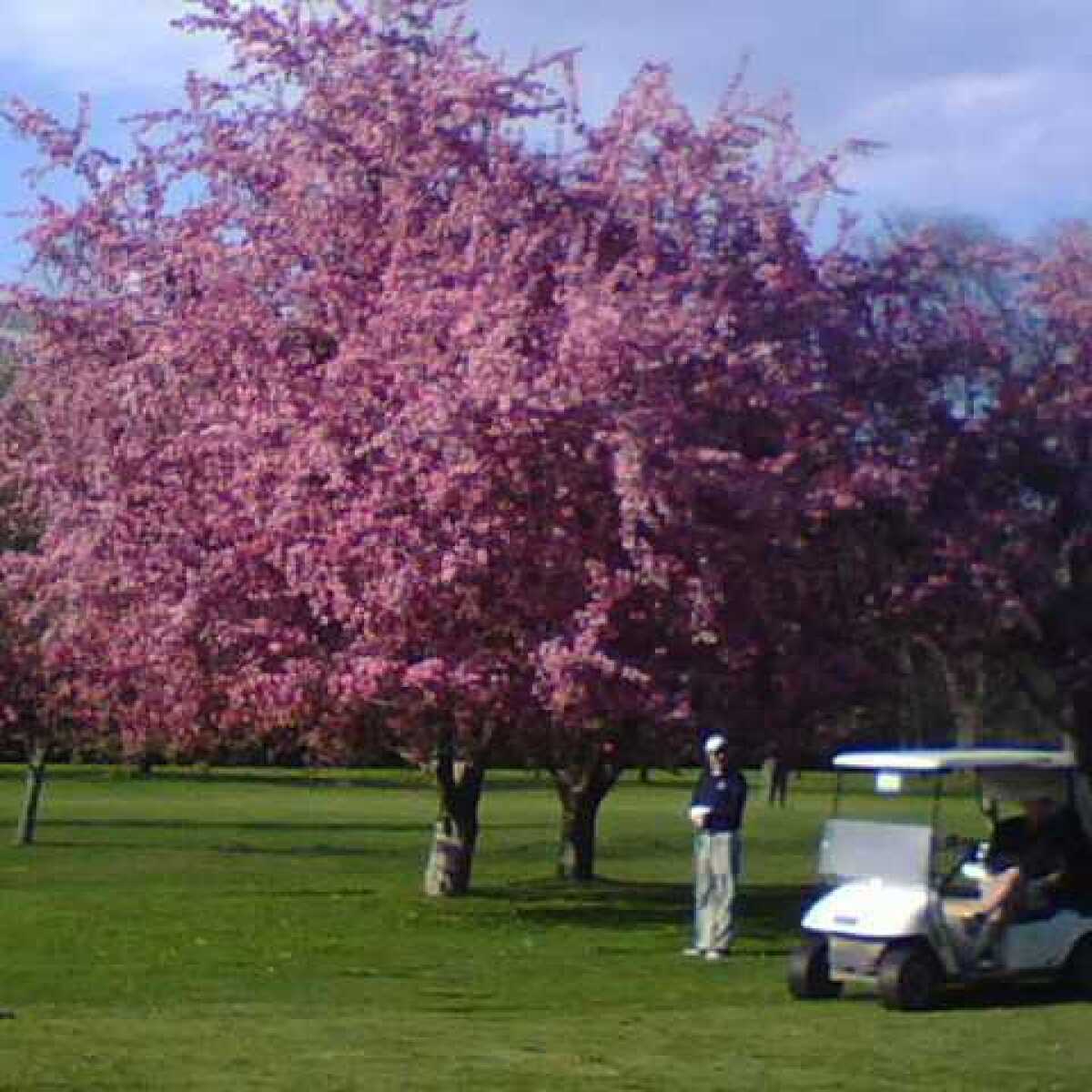 Wells College Golf Course in Aurora, New York, USA | GolfPass