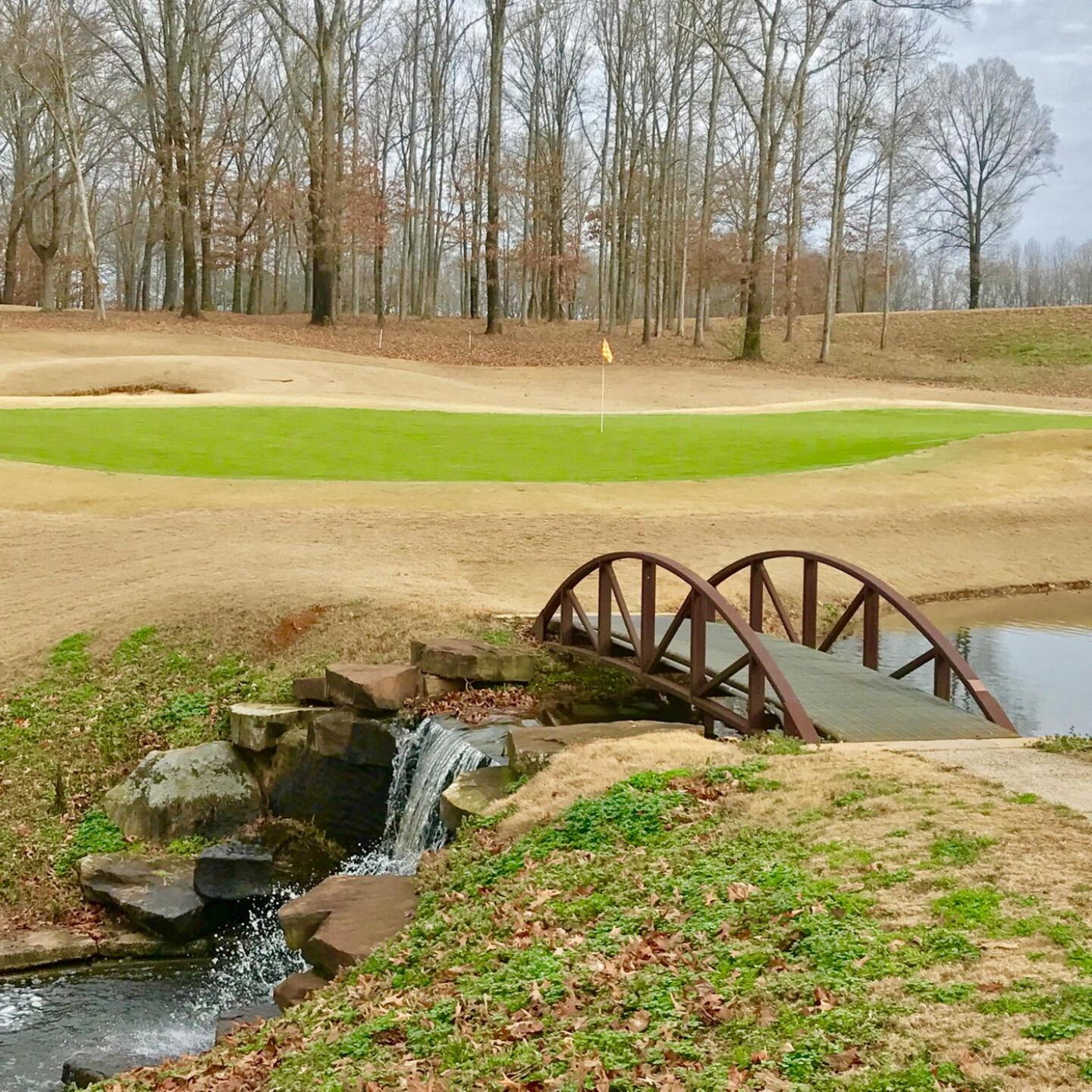 Greenside 2nd hole. (Photo submitted by BrandonWebb on 01/15/2017)