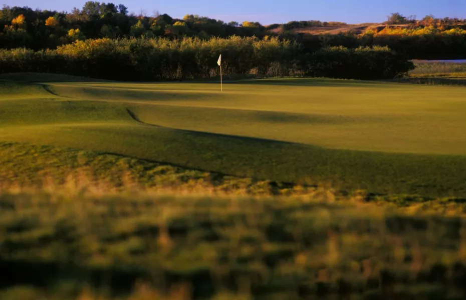 Moon Lake GCC - Moors: #8