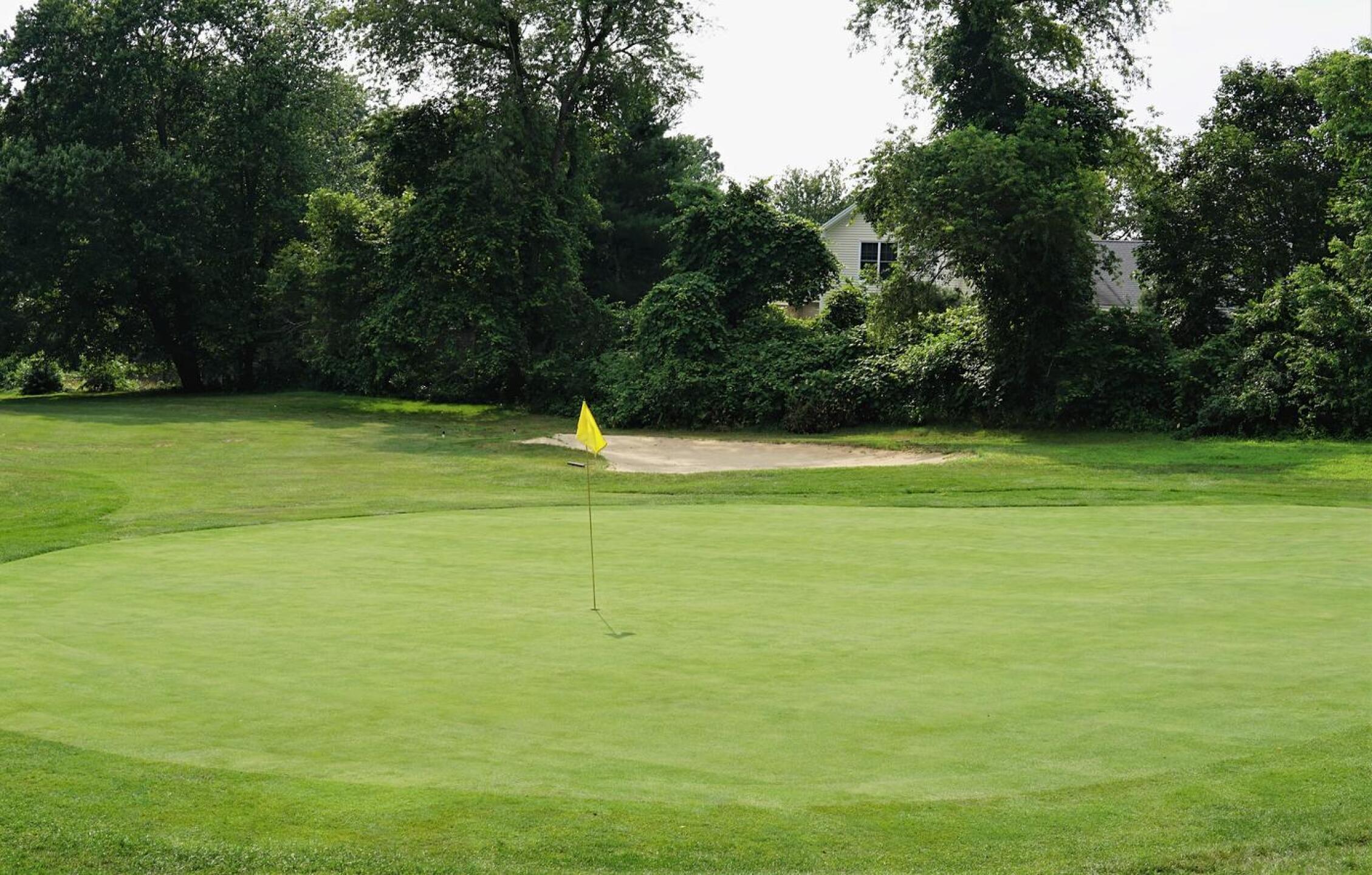A view of green seven on this summer afternoon. (Photo submitted by AptlyLinked on 07/14/2023)