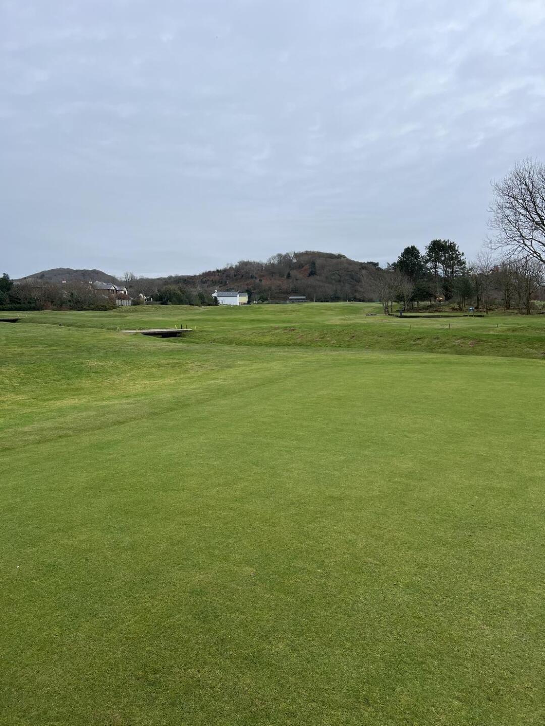 (Photo submitted by DavidDavies3121 on 01/21/2025)