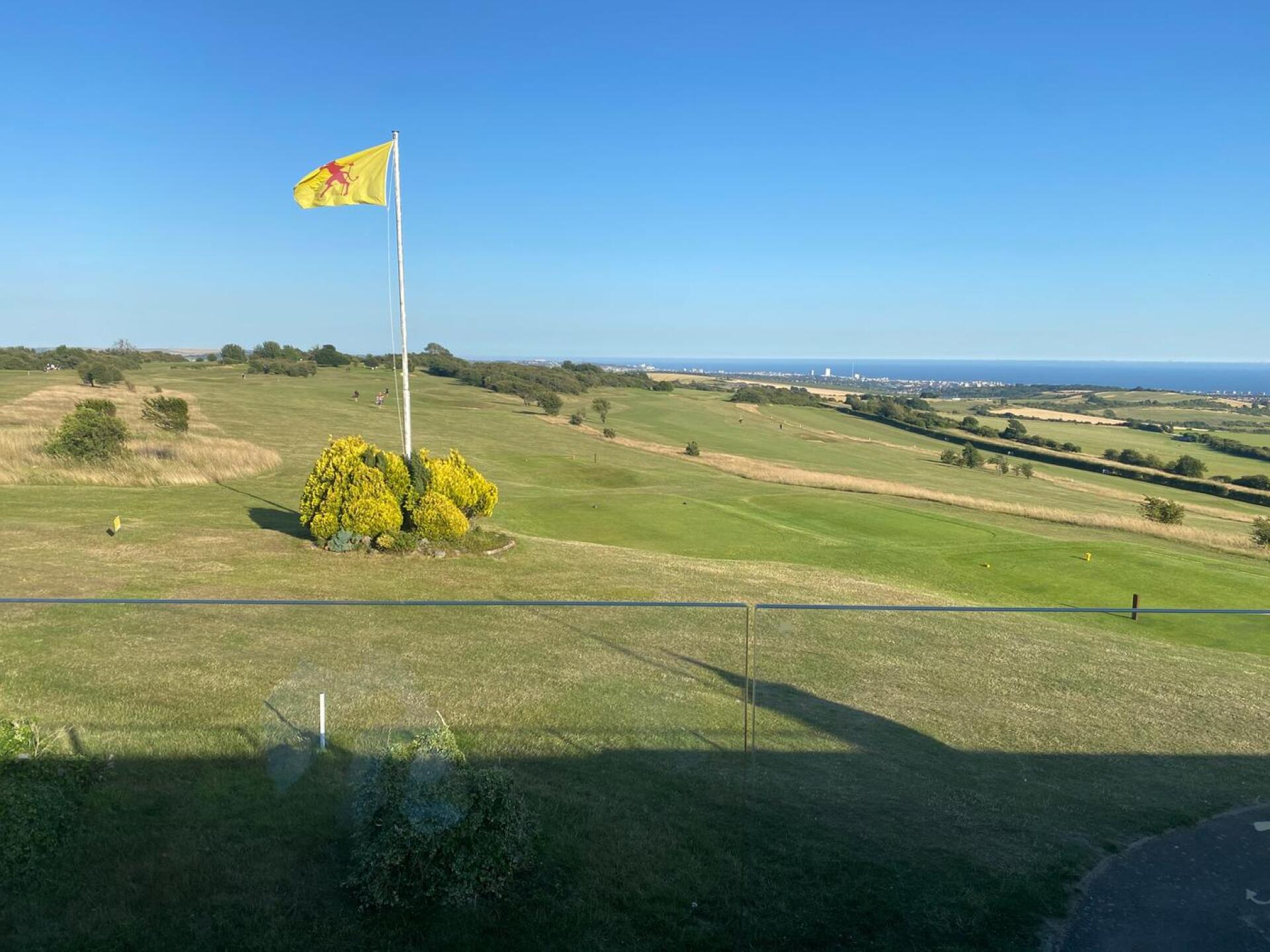 (Photo submitted by t714565380 on 07/18/2020)