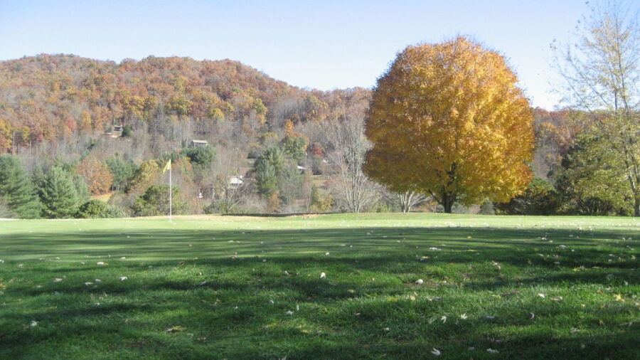 The GC at Mill Creek: #8