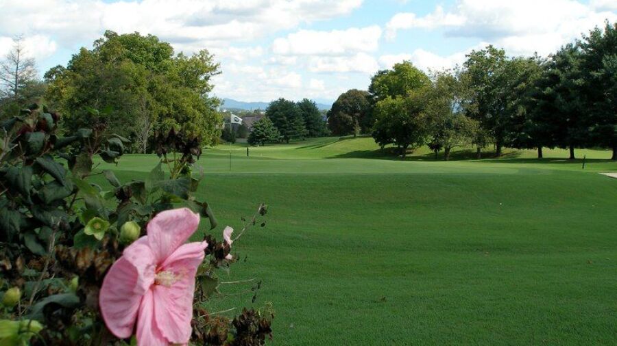 Green Meadow CC: #18