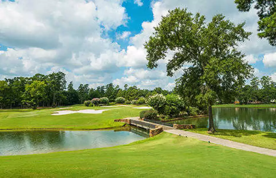 Palmer at Woodlands CC