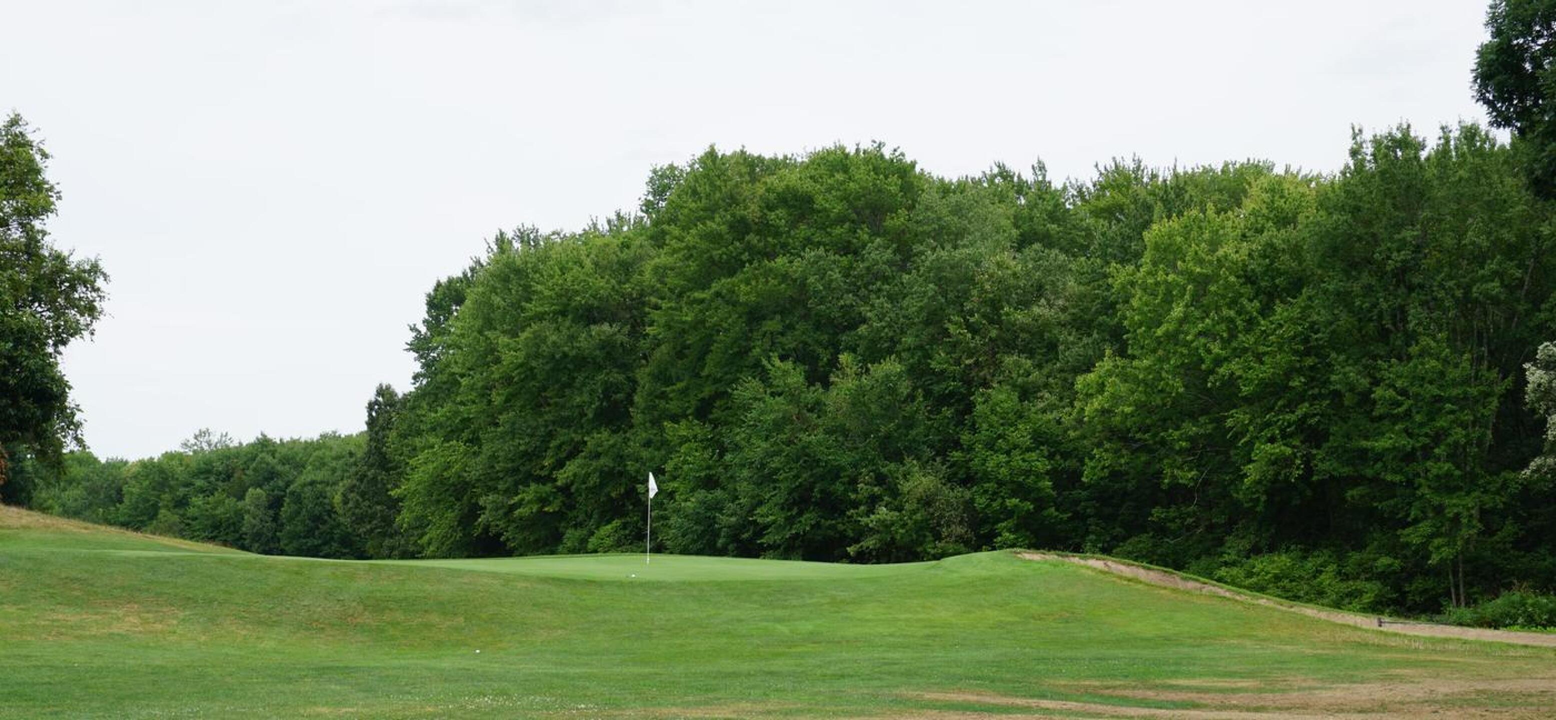 Hole three is an elegant and challenging 3-par of 161 (whites) and 176 (blues). (Photo submitted by AptlyLinked on 08/14/2020)