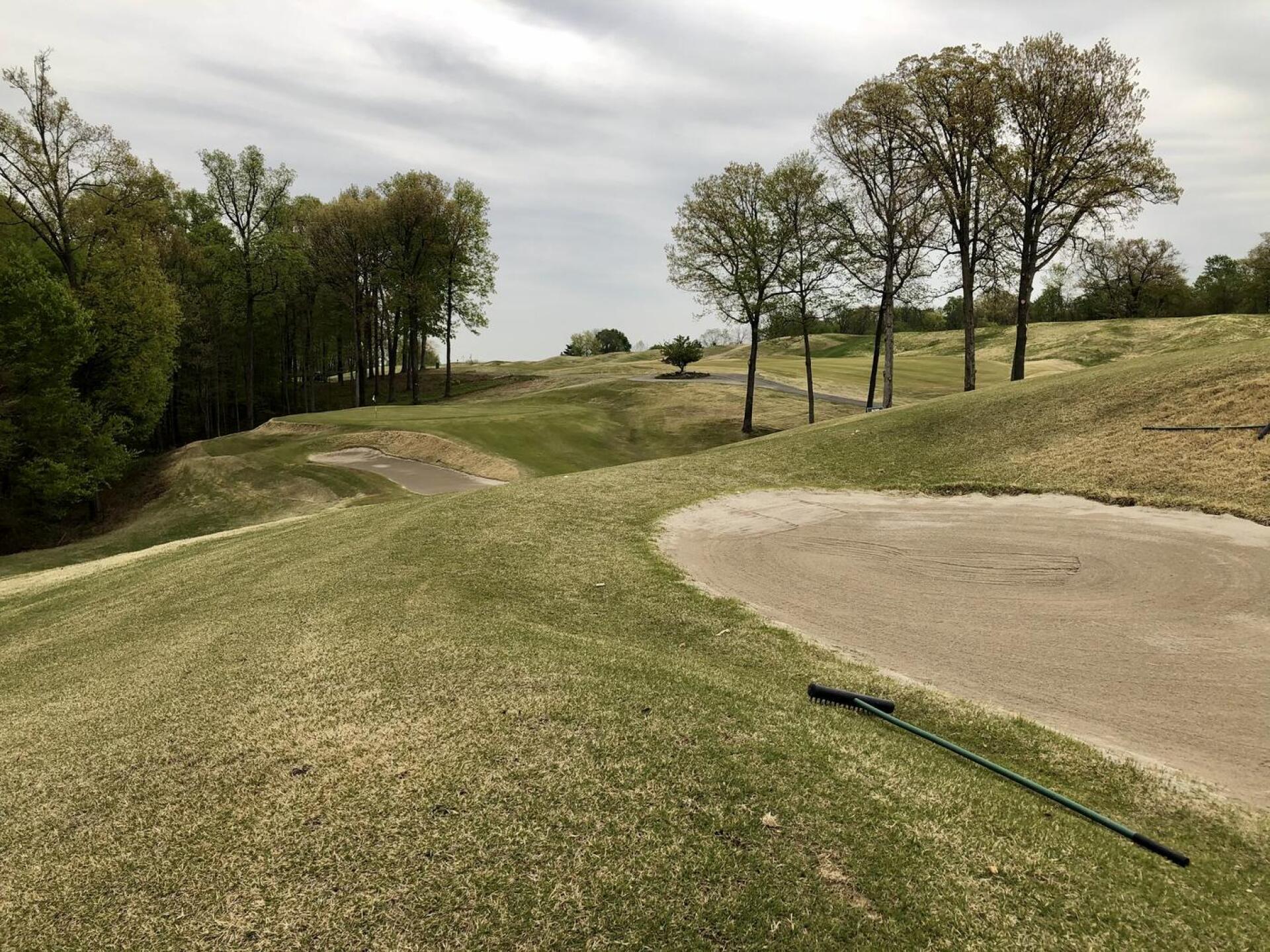 (Photo submitted by BrandonWebb on 04/27/2021)