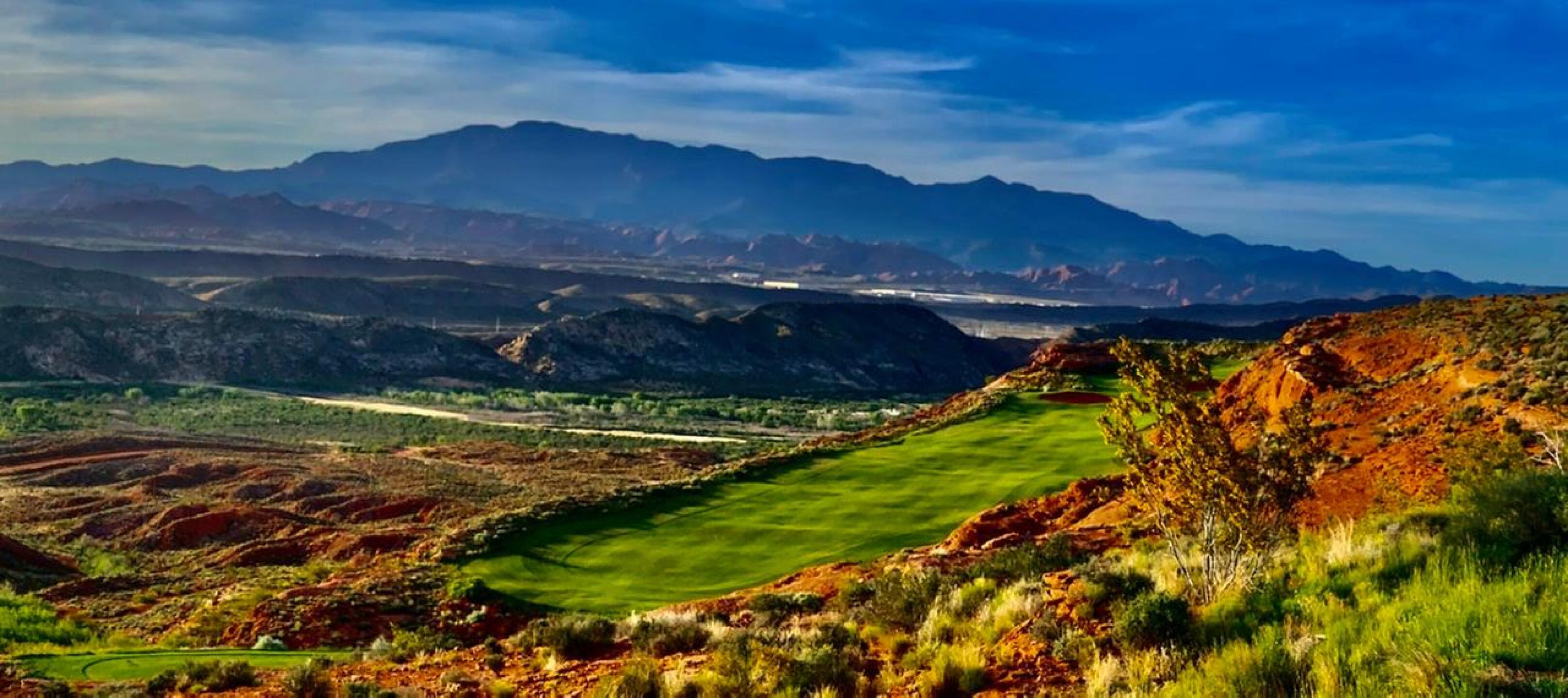 (Photo submitted by arguswilson on 05/08/2020)