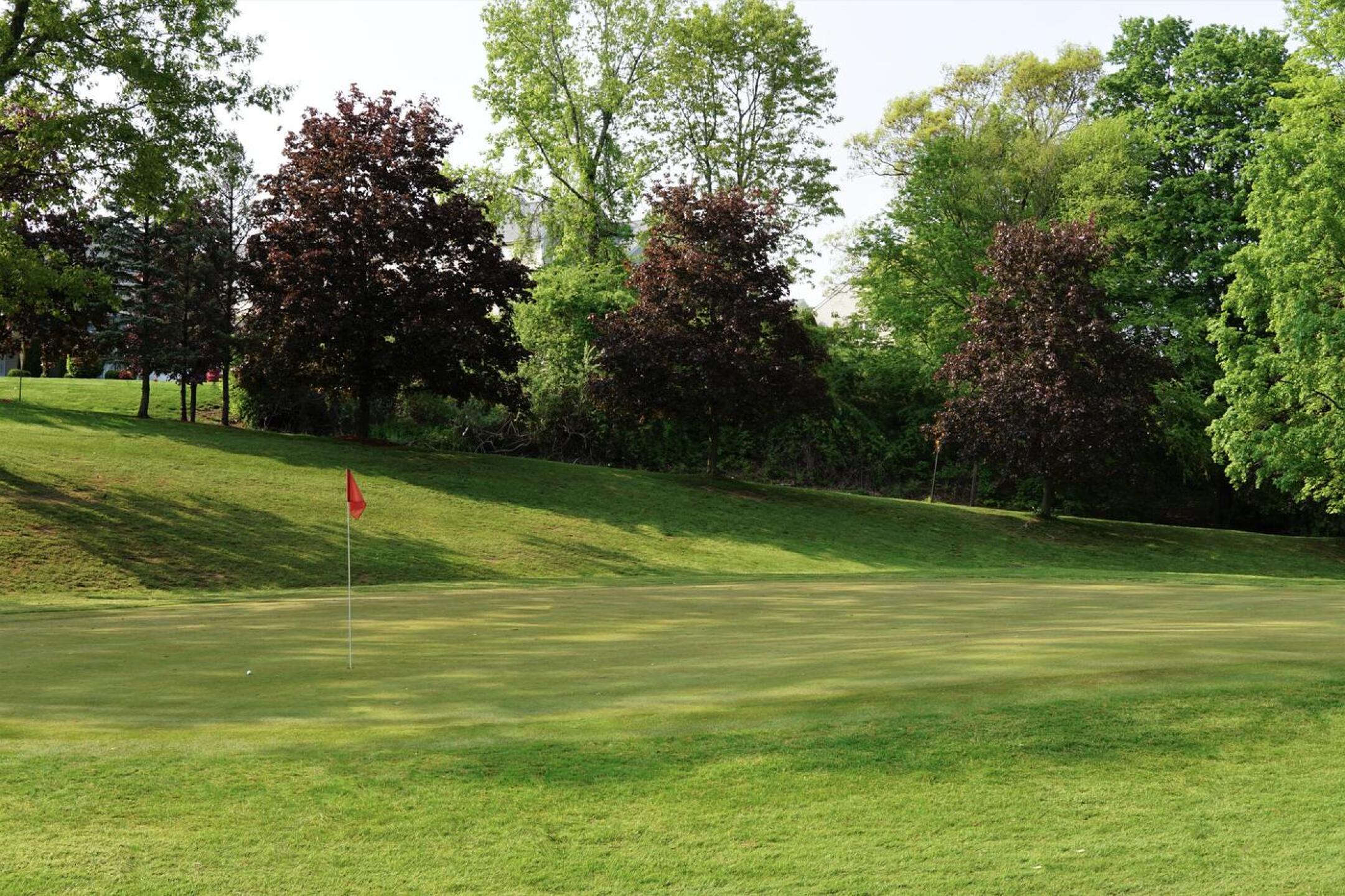 A view of green five in springtime. (Photo submitted by AptlyLinked on 05/14/2023)