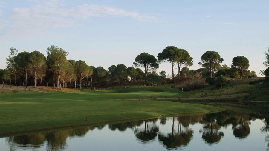 Cornelia GC