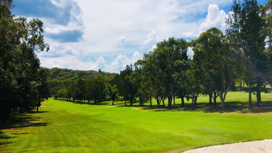 Avalon GC: #8