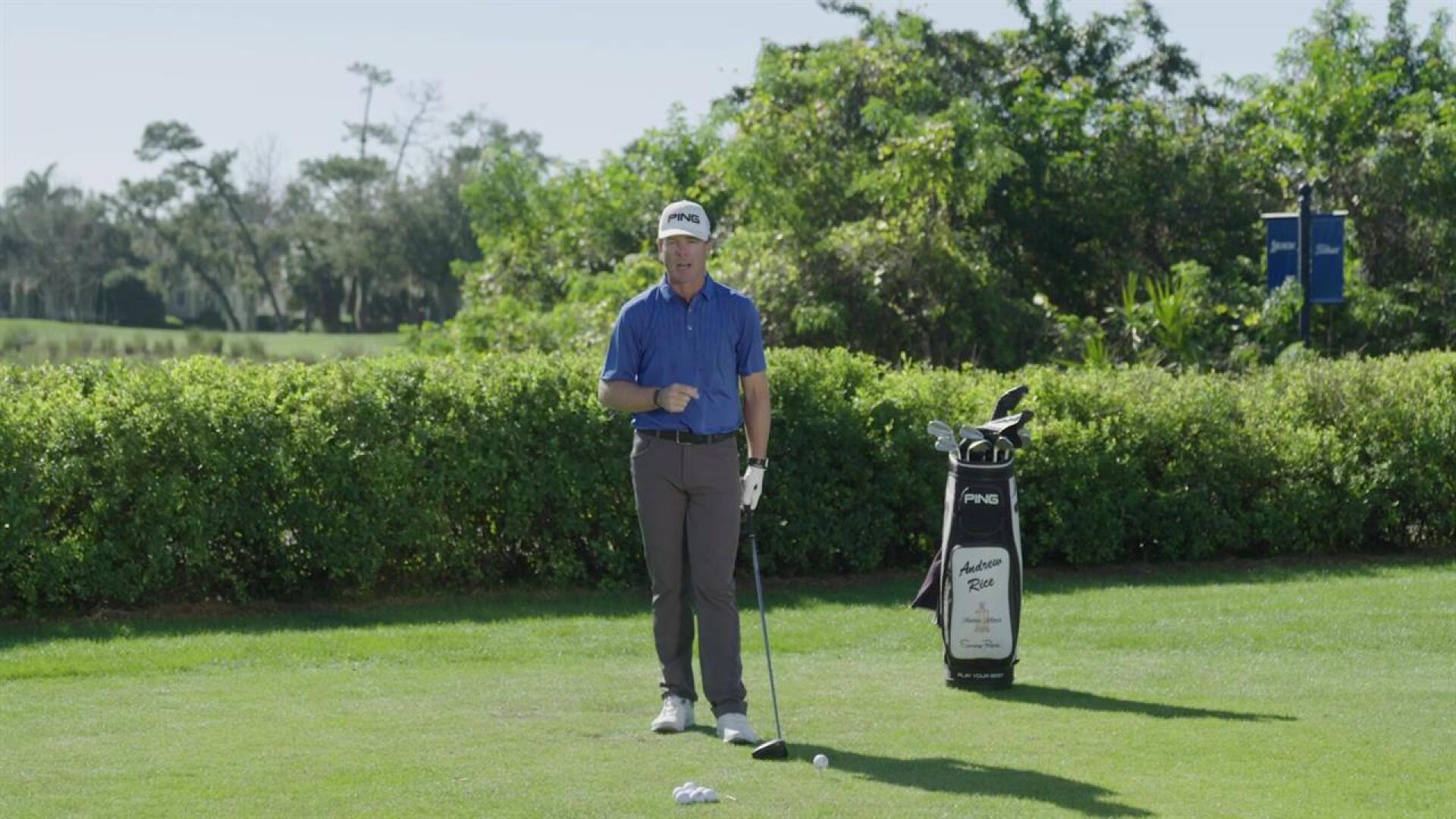 Go-To Driver
