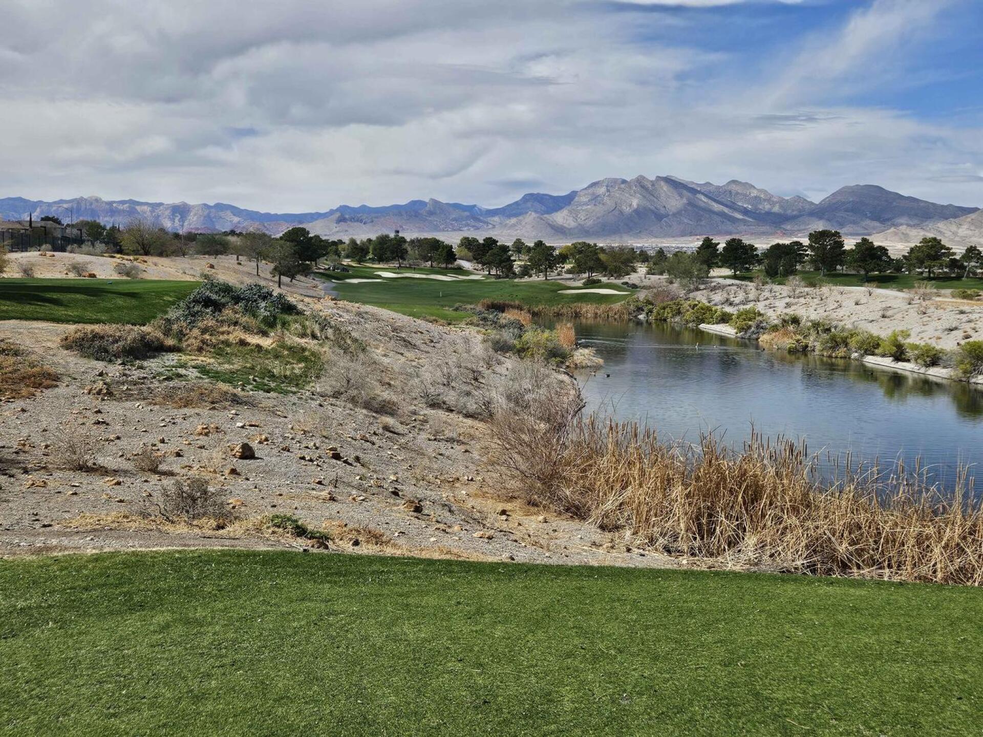 (Photo submitted by u314161622535 on 03/01/2025)