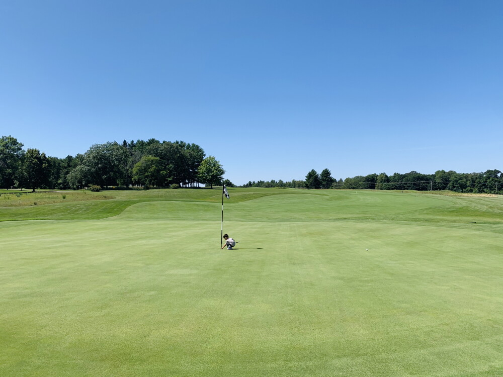 Lawsonia Links