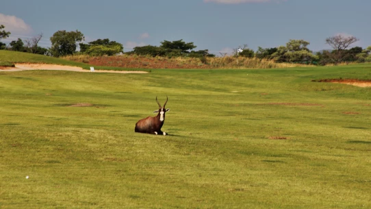 Legend Golf & Safari Resort - Signature Course
