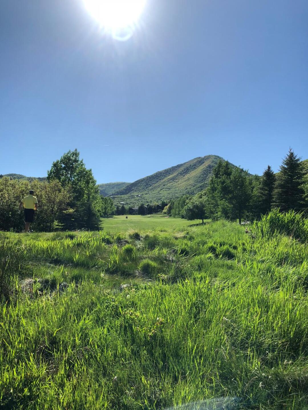 (Photo submitted by zvol1hRiLYjHx0Ymscus on 06/07/2019)