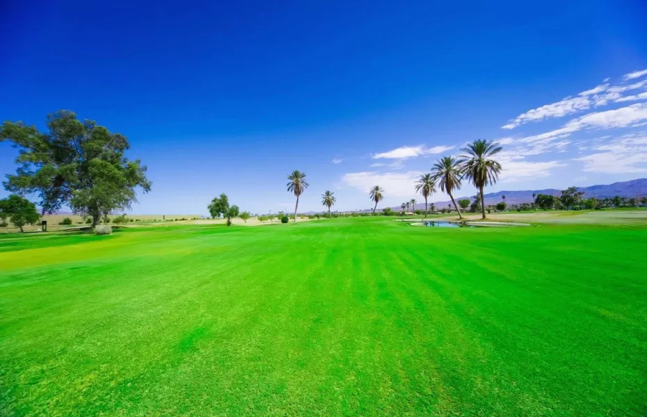 Havasu Island GC