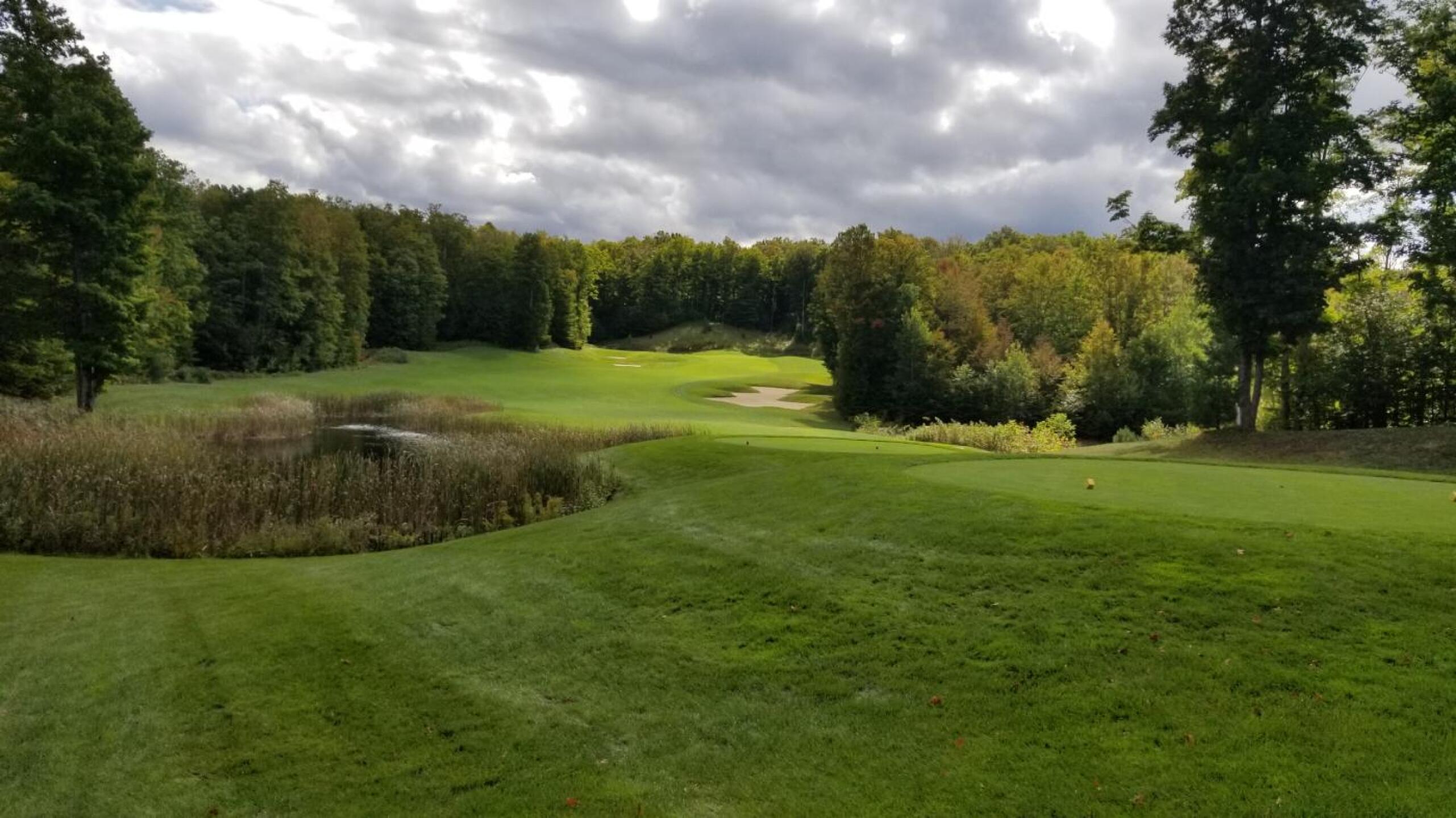 (Photo submitted by tomgardnerjr on 09/28/2019)