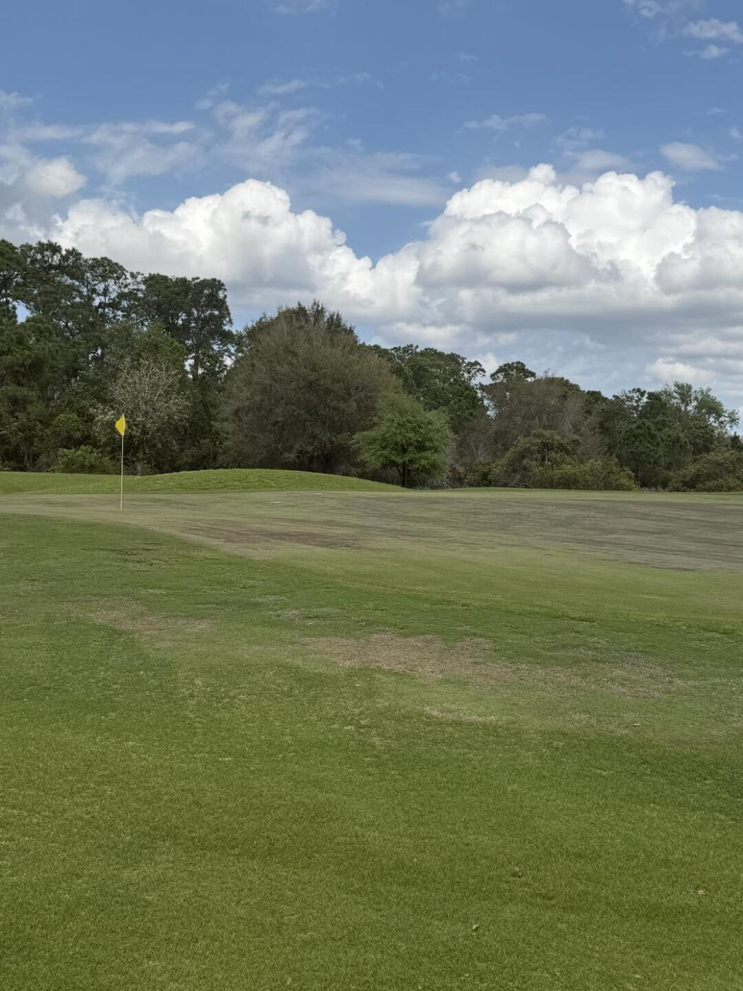 Greens in bad shape (Photo submitted by kerascreations on 03/15/2026)