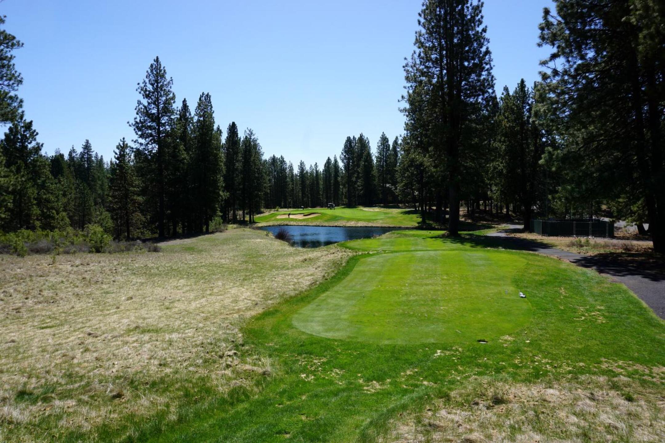 Widgi Creek GC, Hole 11, Par 3, 166 yds (Photo submitted by DYakimec on 05/04/2019)
